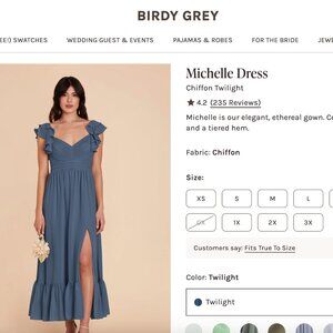 Birdy Grey Michelle Dress in Twilight